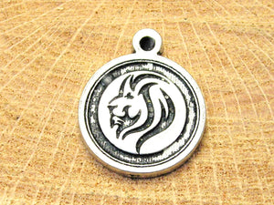 Lion circle Charm