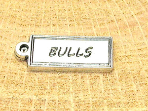 Bulls tab Charm