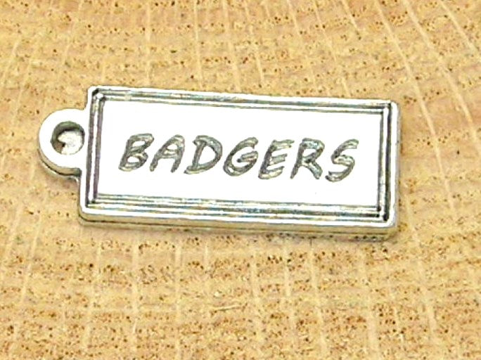 Badgers tab Charm